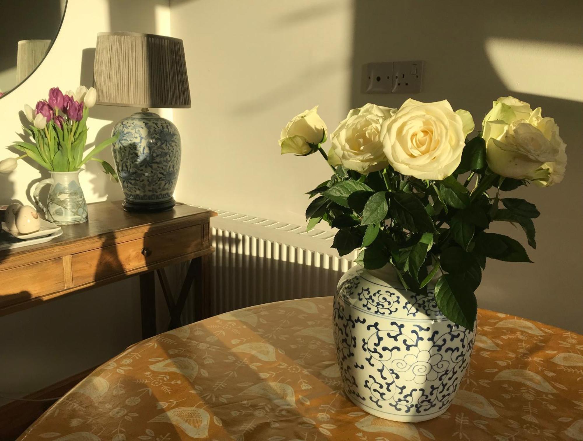 City Central Quiet Garden Apartment With Free Parking Inverness Dış mekan fotoğraf